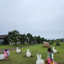 휘닉스 실외수영장 이미지