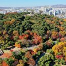 장전보건진료소 이미지