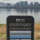 지하철역사 (월드컵경기장역) 이미지