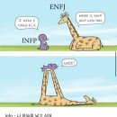 천년의 궁합이라는 INFP + ENFJ 조합 이미지