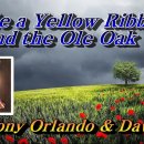 Tie a Yellow Ribbon Round the Ole Oak Tree ㅡ Tony Orlando &amp; Dawn 이미지