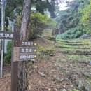 숲속의 정든집 야영장 | [경북 영덕] 동해바다와 숲이 함께하는 영덕 숙소 칠보산자연휴양림 숲속의 집 제비꽃 솔직후기