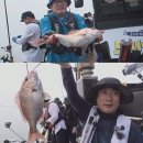 도시어부 - 구미시 인동32길 17-2 | 도시어부