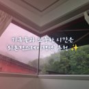 퇴촌 펀 이미지