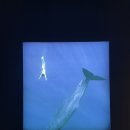 버블스튜디오 이미지