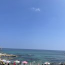 씨랜드펜션 이미지