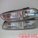 퍼피테일 이미지