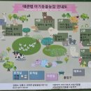 대관령 하루 | 강릉 아이랑 가볼만한곳 사천동물원 &#39;대관령아기동물농장&#39; 대만족한 후기