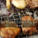 돼지양철북 이미지