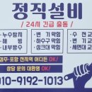 빌라그린 | 포항 변기 막힐 때 지곡 그린빌라 변기 막힘 후기