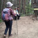 소양강둘레길 1코스 이미지