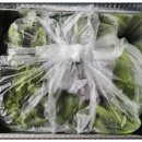 정진농장 이미지