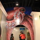 박물관은 살아있다 이미지