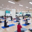 웰빙요가 이미지