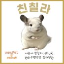 와우펫앤쥬 김해점 이미지