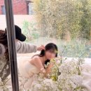 크라우드 | 루미에스튜디오 촬영 후기 | 웨딩크라우드에서 토탈 촬영, 엘페라x미쉘킴x루미에