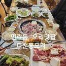 따순둥오리 이미지