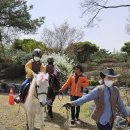 충주 주덕초등학교 충북일보