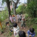 짝지나무 찾기(꽃4.29) 이미지