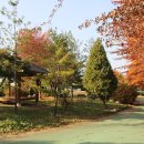 운남체육단지 이미지