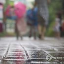 내일어린이집 이미지
