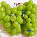 향기공감 이미지