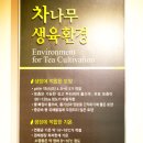 한국차박물관