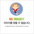 2010년 9월 30일 성 예로니모 사제 학자 기념일 이미지