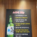 동방양고기 이미지