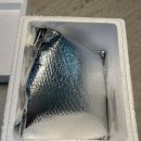 견묘양처 이미지