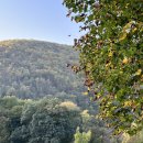 Mt. Tammany, Delaware Water Gap (10/05/24) 이미지