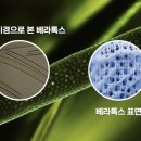 베라에스테틱 - 당진시 밤절로 146 | 베라에스테틱