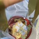 비아초등학교 | 홍콩 2박 4일 여행코스(2) 두번째 제니쿠키 익청빌딩 에그타르트