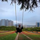 전국튤립축제 대구 이월드 튤립트래블 공연 후기 아이와 가볼만한곳