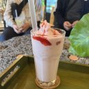 선흘초등학교 | 고고맨의 아무튼 출장_제주편(3일차 후기)