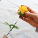 힐링원예협동조합 이미지