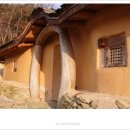 황토사랑 나무야 이미지