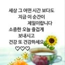 효드림 데이케어센터 이미지