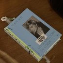 스테이더딜라잇프라이빗 이미지