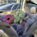 임팩트 강창점 이미지