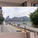 푸른샘약국 이미지