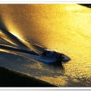 순천만풍경 이미지