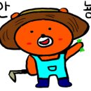 (주)더힐링팜 이미지