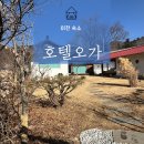 월화엔 독채펜션 | [이천 숙소] 호텔오가 후기. 이천풀빌라펜션 이천한옥독채 감성숙소 서울근교풀빌라 아기랑 자쿠지숙소