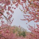 완산-70 이미지