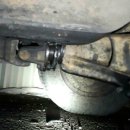 나비카센타 이미지