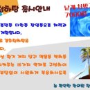 청하탕 이미지