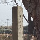 척화비 이미지