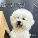 멍스가든 이미지