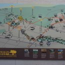 방학동 은행나무 이미지